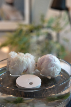 Logotrade Logogeschenke das Foto: Breevia aufladbarer schwimmender Luftbefeuchter aus RCS rABS