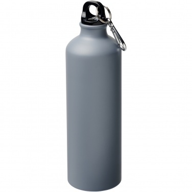 Logo trade corporate gift photo of: Oregon 770 ml matte water bottle with carabiner