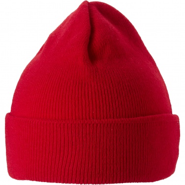 Logo trade promotional gifts picture of: Irwin beanie