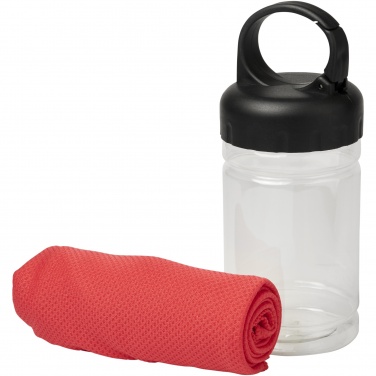 Logotrade corporate gifts photo of: Remy cooling towel in PET container