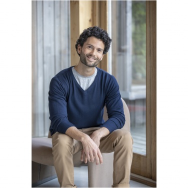Logotrade promotional giveaway image of: Stanton men's v-neck pullover