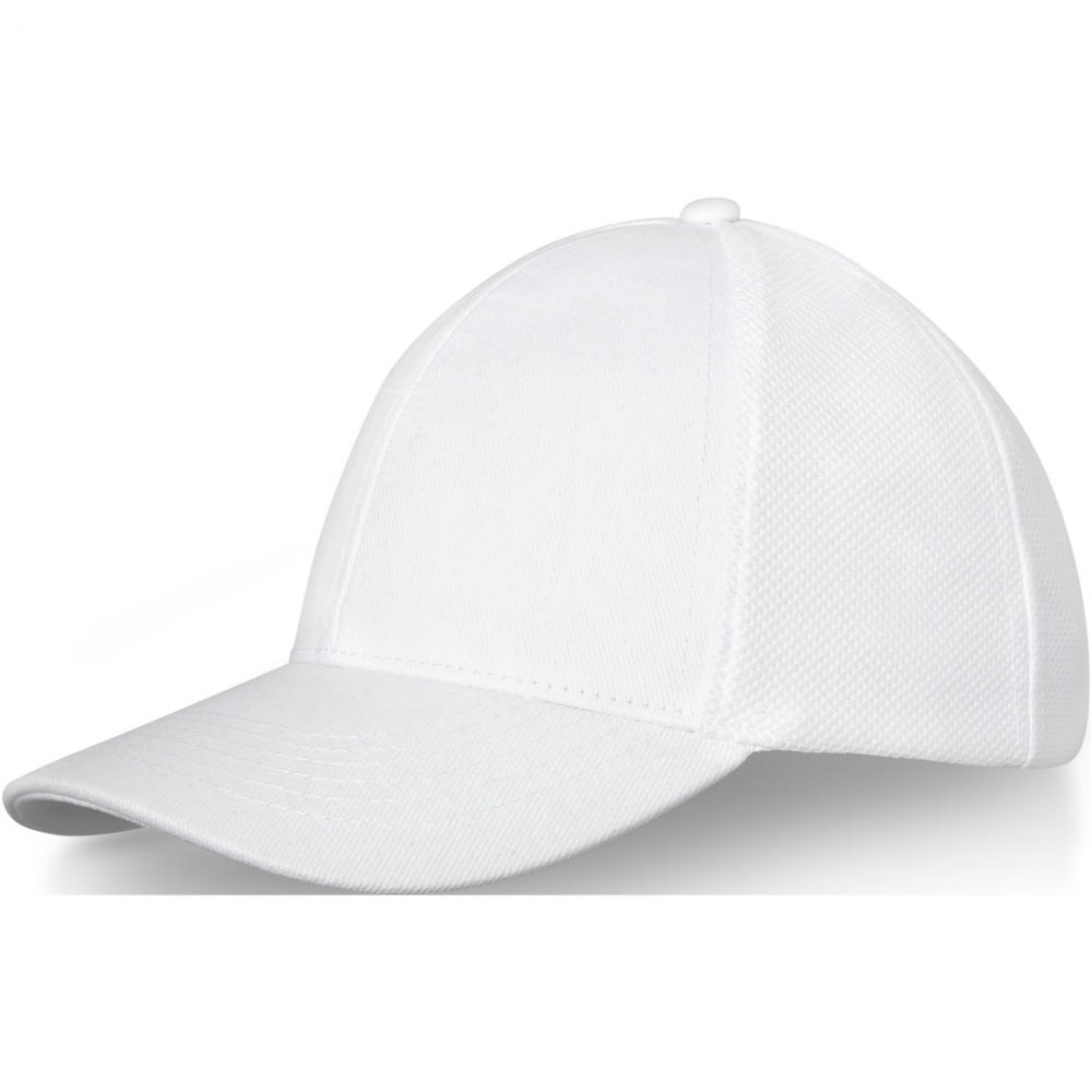Logo trade corporate gifts picture of: Drake 6 panel trucker cap