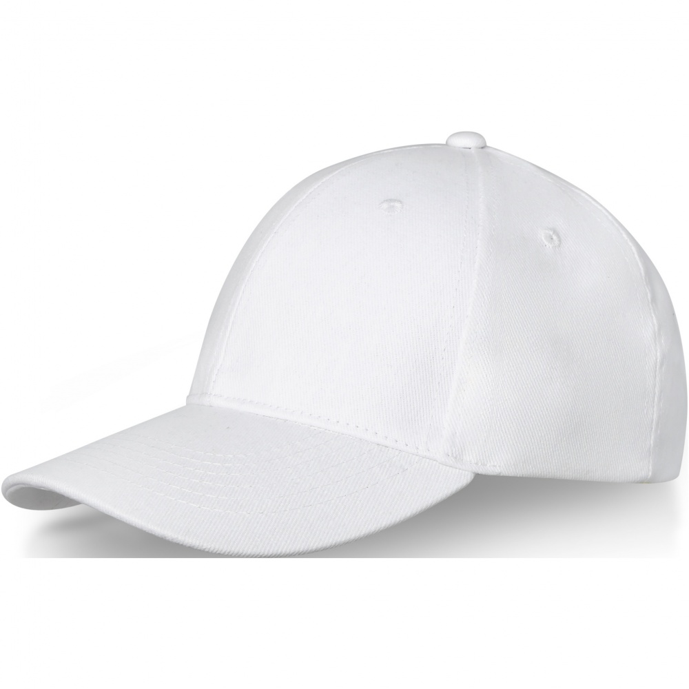 Logotrade promotional giveaway picture of: Davis 6 panel cap