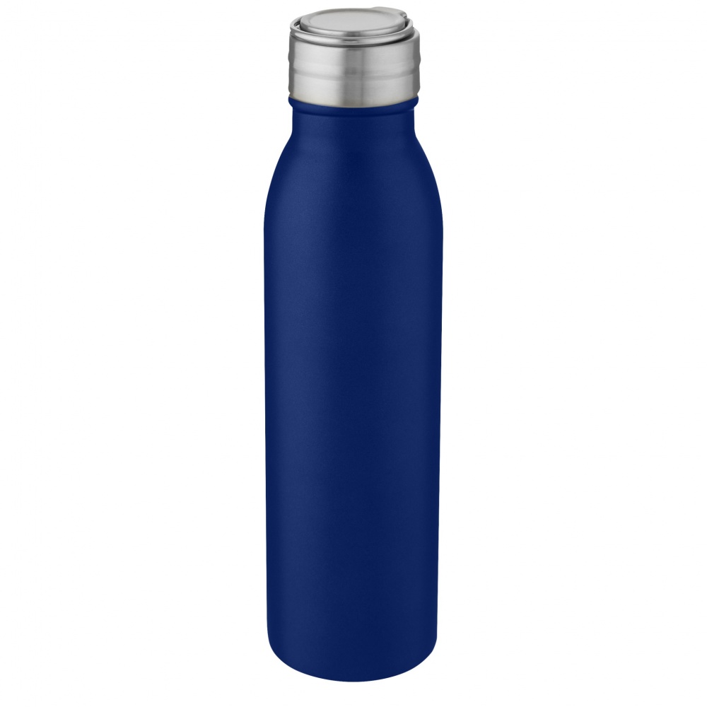 Logo trade advertising products picture of: Harper 700 ml stainless steel water bottle with metal loop