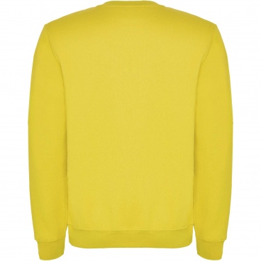 Logotrade promotional merchandise image of: Clasica kids crewneck sweater