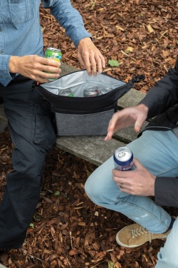 Logo trade promotional gifts picture of: Two tone cooler bag