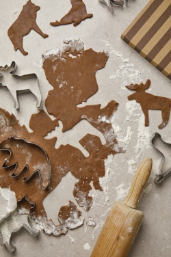 Logo trade promotional item photo of: VINGA Nordic big 5 cookie cutter 5-piece set