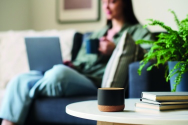 Logotrade advertising product picture of: Cork and aluminium speaker