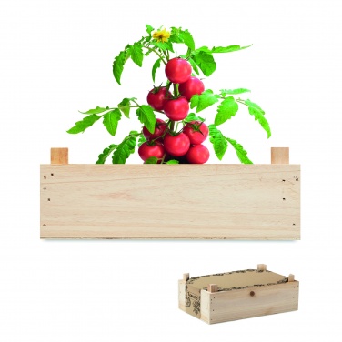 Logotrade promotional merchandise picture of: Tomato kit in wooden crate