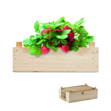 Logotrade promotional item picture of: Strawberry kit in wooden crate
