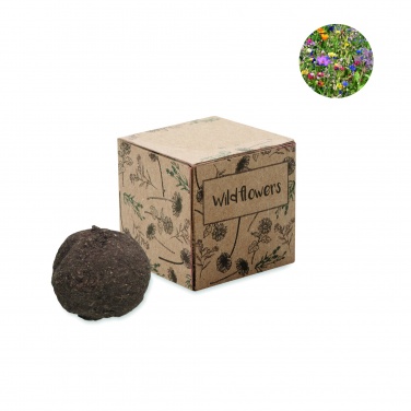 Logotrade promotional gifts photo of: Seed bomb growing kit