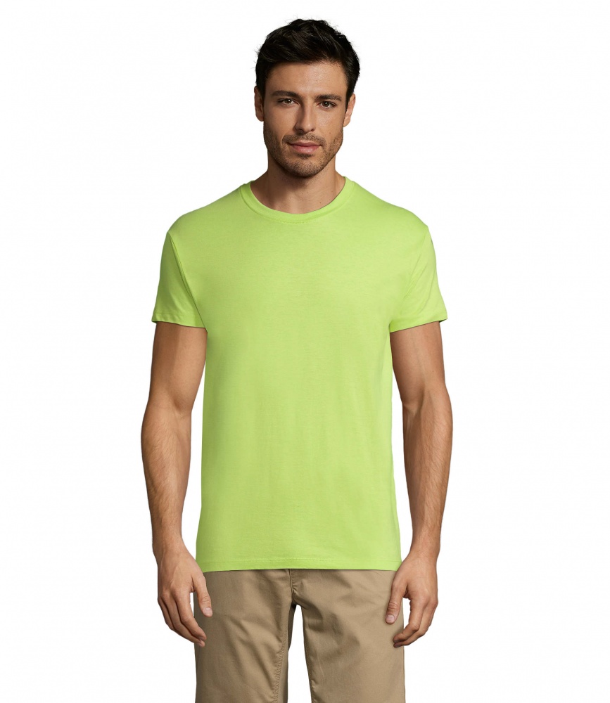 Logo trade promotional giveaway photo of: REGENT Uni T-Shirt 150g
