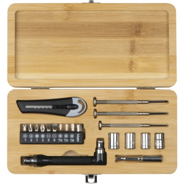 Logo trade promotional merchandise image of: 22-piece tool set BERINGEN