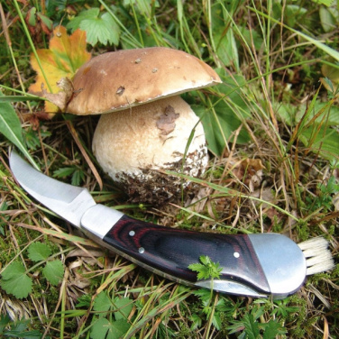 Logotrade promotional item picture of: Mushroom knife PILZ Schwarzwolf