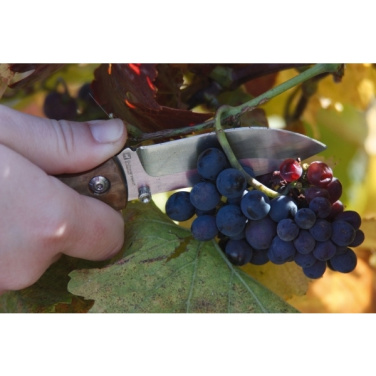 Logotrade advertising products photo of: Pocket knife JUNGLE Schwarzwolf