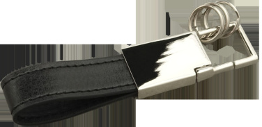 Logo trade promotional merchandise picture of: Keyring 91309500