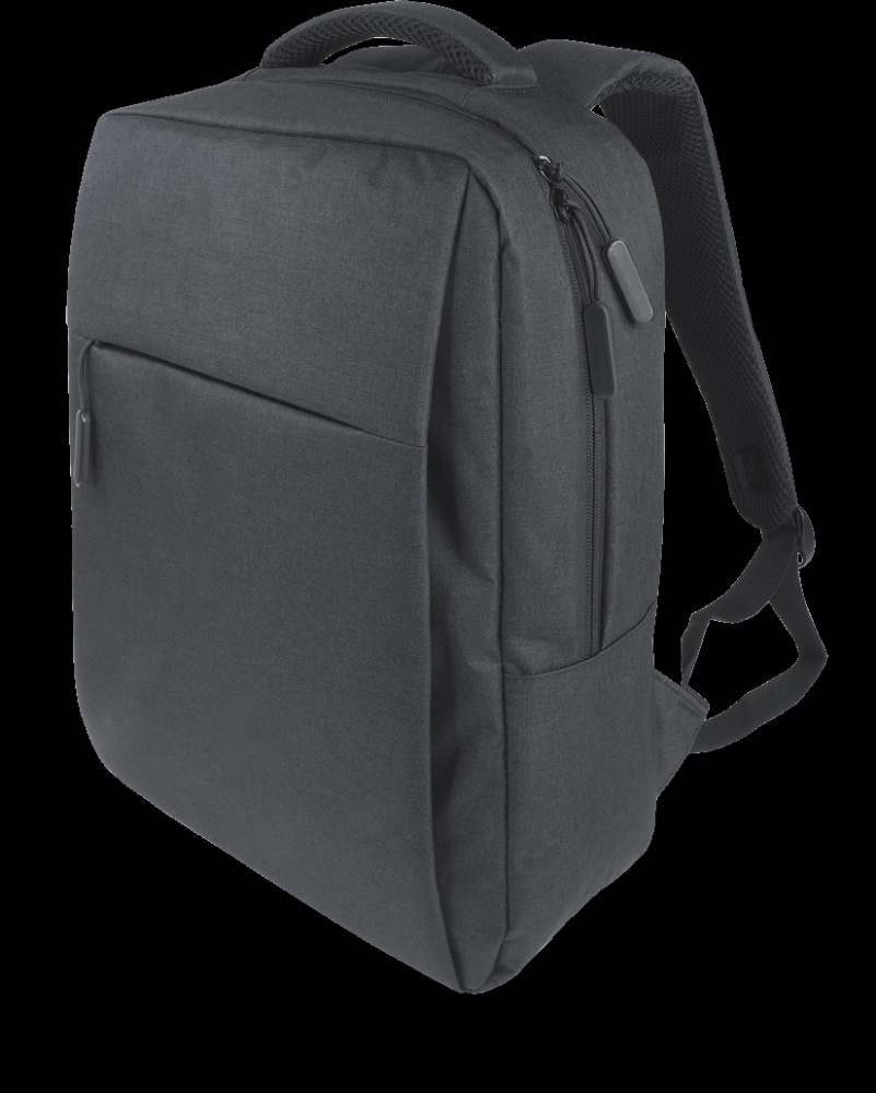 Logotrade promotional gift picture of: Laptop backpack 123912500