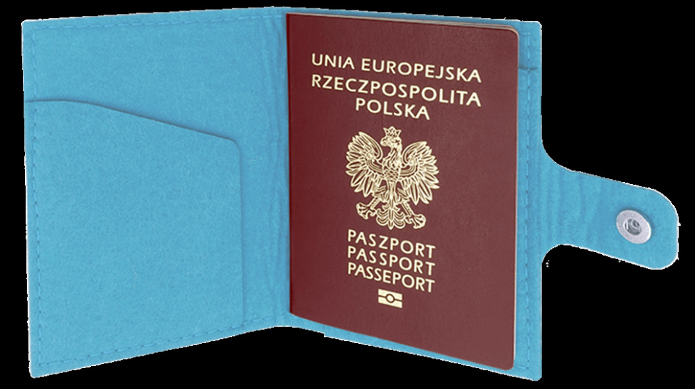 Logotrade advertising product image of: Passport case 84106200