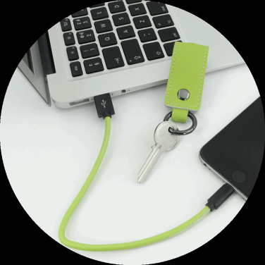 Logo trade promotional product photo of: Keyring 59612900