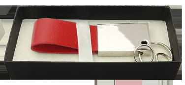 Logo trade promotional gift photo of: Keyring 909119