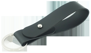 Logo trade promotional products picture of: Keyring 599094
