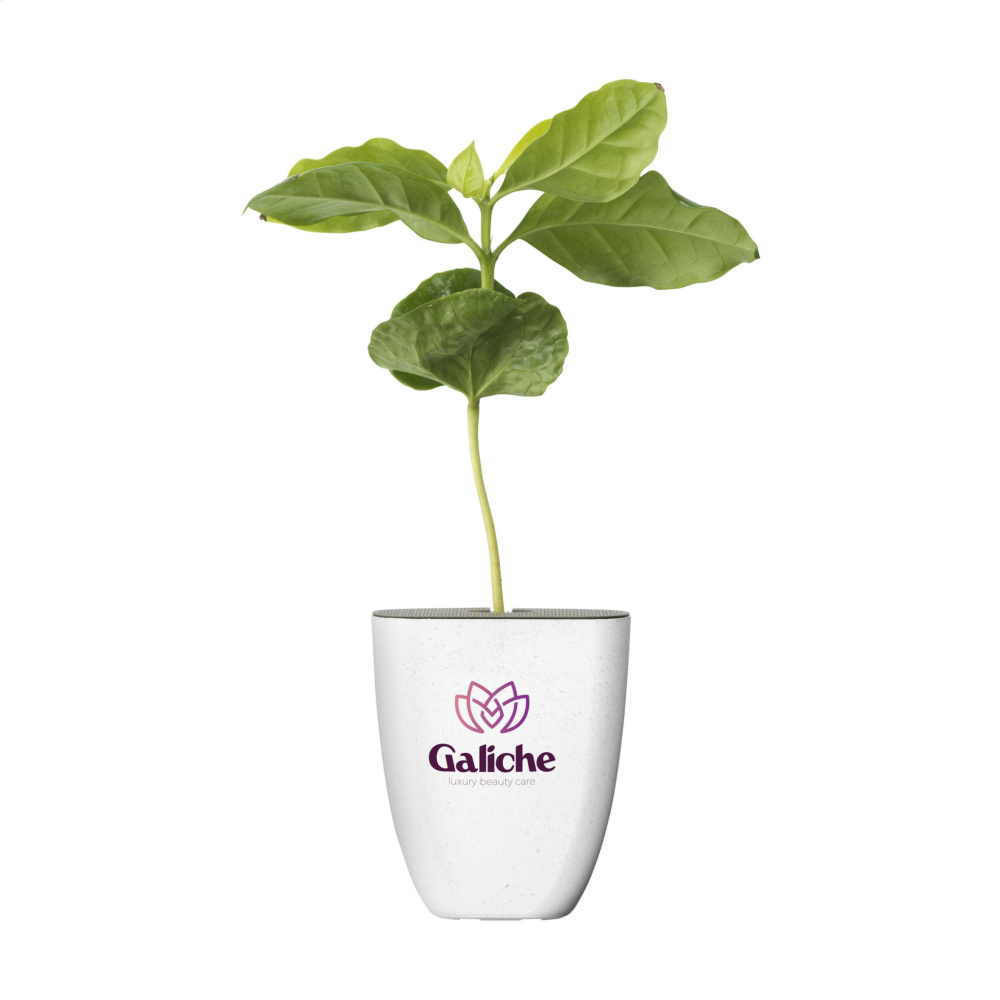 Logotrade promotional merchandise picture of: Treemore Letterbox Trees Coffee