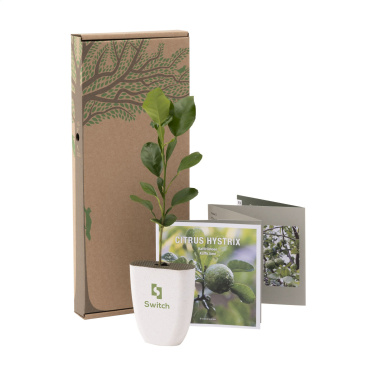 Logo trade business gifts image of: Treemore Letterbox Trees Kaffir Lemon