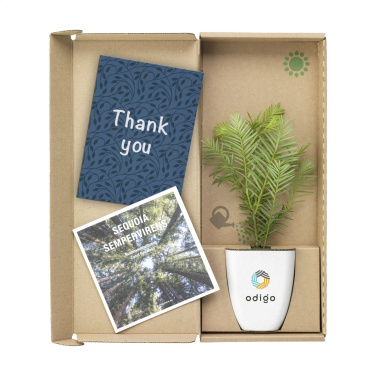 Logotrade promotional product image of: Treemore Letterbox Trees Giant Sequoia