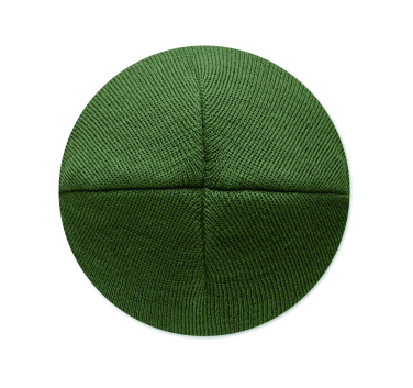 Logotrade promotional gift image of: Unisex beanie RPET polyester