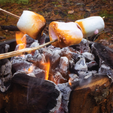 Logotrade promotional merchandise picture of: Eco Grill M