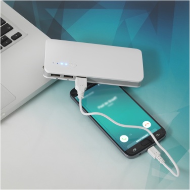 Logo trade reklaamkingi pilt: Varu 10 000 mAh akupank