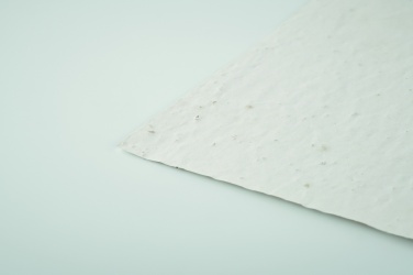 Logo trade firmakingid foto: A6 metsalilleseemne paberileht