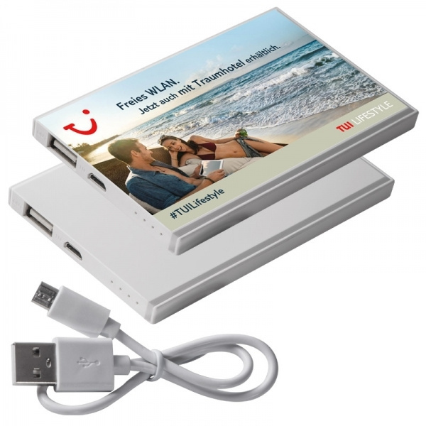 Logo trade meened foto: Akupank PINEVILLE 2200 mAh