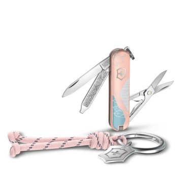 Logotrade reklaamkingi foto: Victorinox taskunuga Classic SD, 58 mm, Celidor, Paris Style