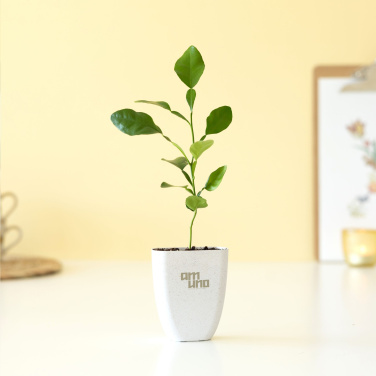 Logotrade reklaamtoote foto: Treemore Letterbox Trees Kaffir Lemon