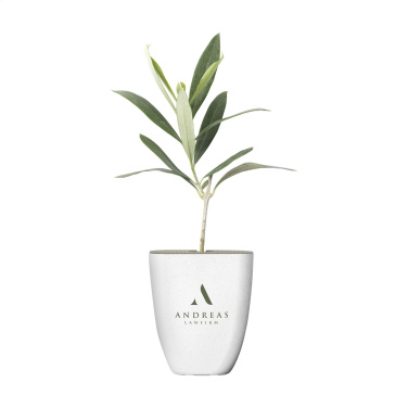 Logotrade ärikingitused pilt: Treemore Letterbox Trees Olive
