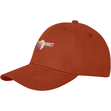 Logo trade ärikingituse pilt: Davis 6 paneeli kork