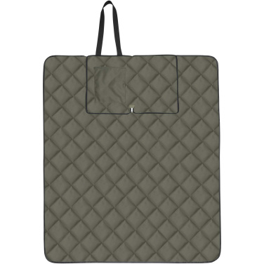 Logo trade reklaamkingi pilt: Clary GRS taaskasutatud polüestrist piknikutekk