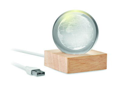 Logo trade firmakingi pilt: LED-klaasist kera Globe