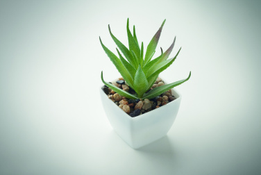Logotrade meened pilt: ARTILOE mini aaloe kunsttaim