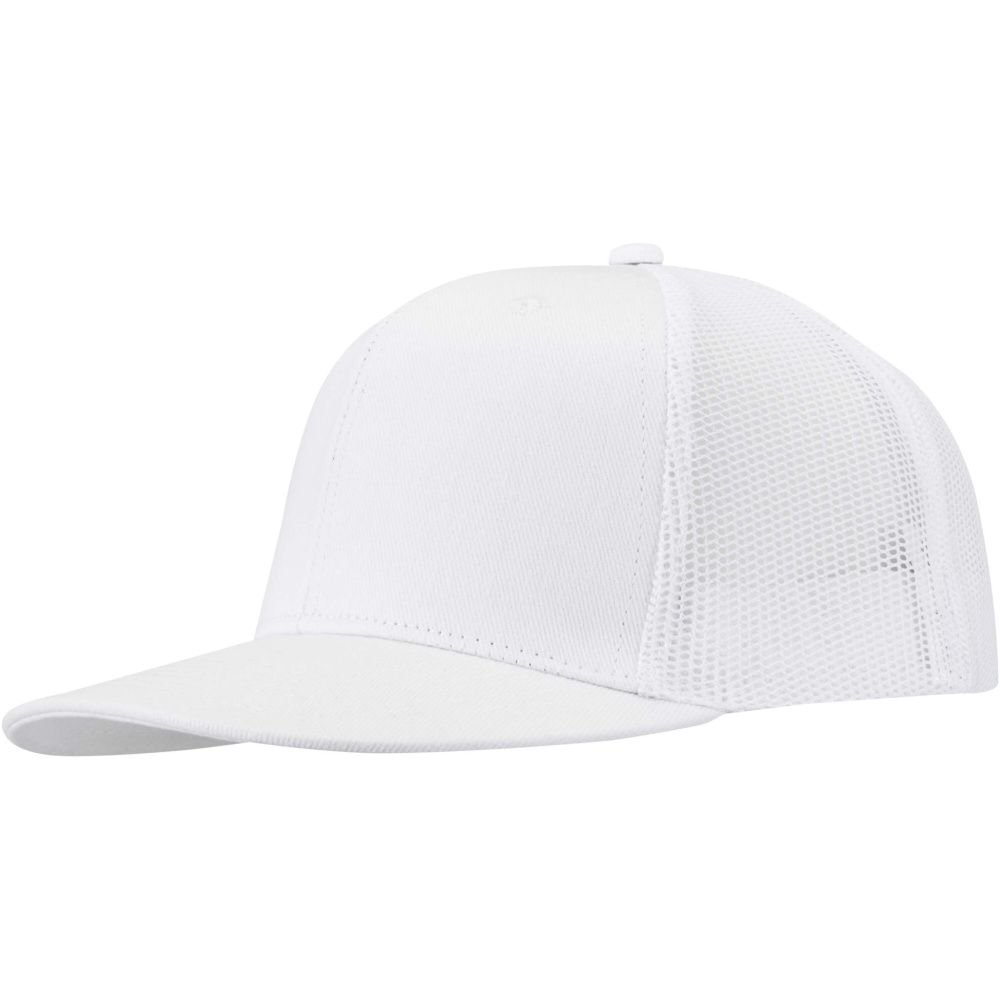 Logo trade meened foto: Drift Snapback 260 g/m2 6 paneeliga nokamüts