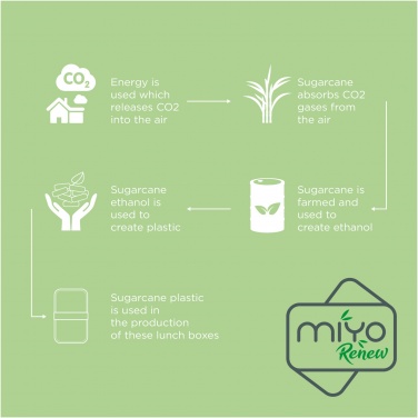 Logotrade mainoslahjat kuva: MIYO Renew kaksikerroksinen lounasrasia